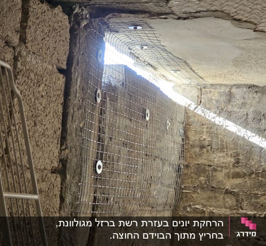 רשת מתכת מותקנת על קיר למניעת כניסת יונים